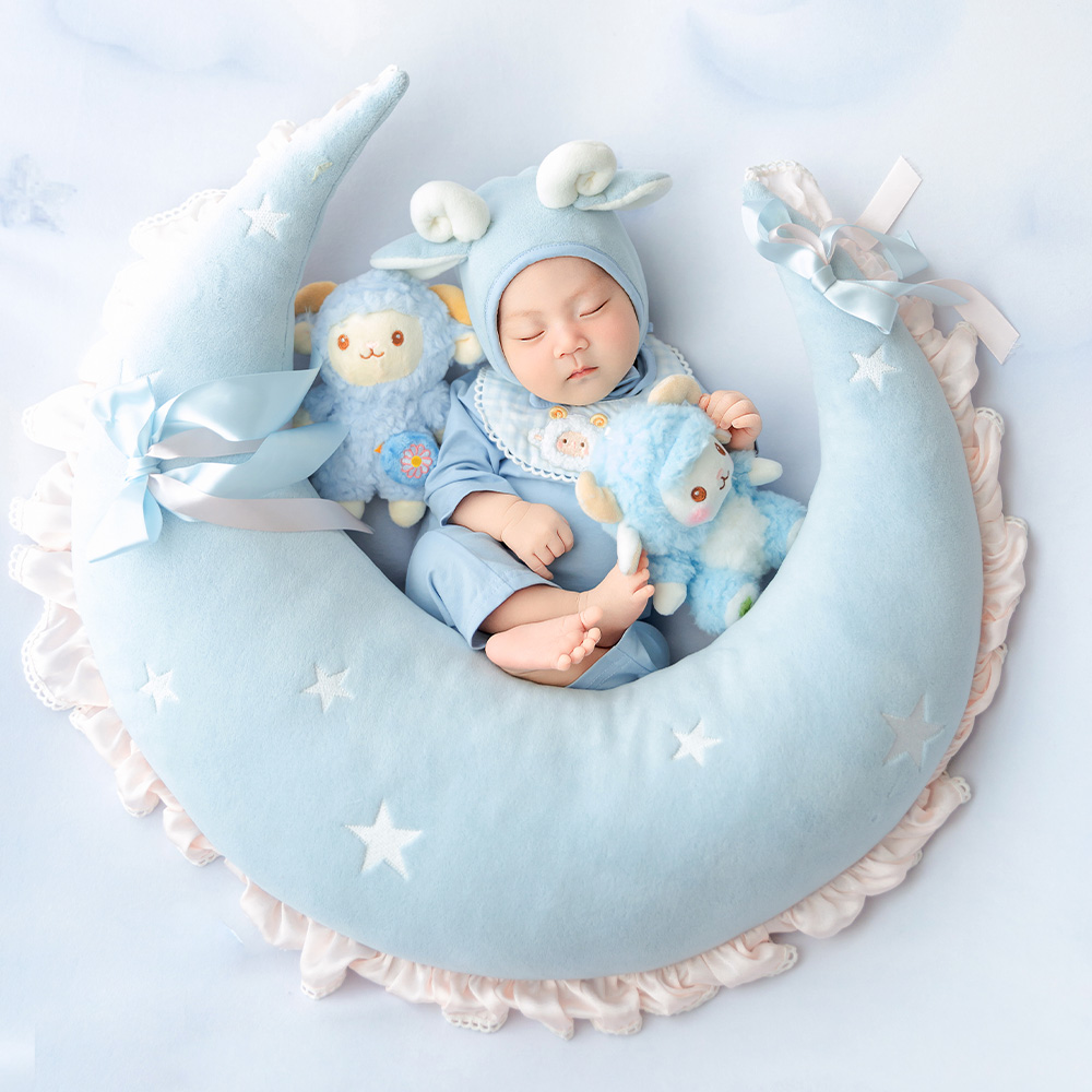 귀여운 양 신생아 사진 소품 세트 달 모양 포즈 베개  - Infant Photography Props Outfit 리뷰 및 가격